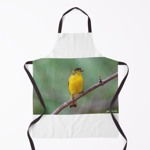 Item preview, Lesser Goldfinch Perched on a Branch designed and sold by Jeff Goulden Photography.