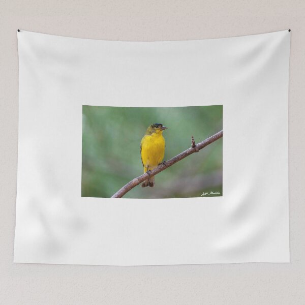 Item preview, Lesser Goldfinch Perched on a Branch designed and sold by Jeff Goulden Photography.
