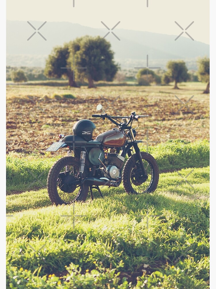 "Moto Guzzi, Caférennläufer, Foto in Süd-Italien-Landschaft