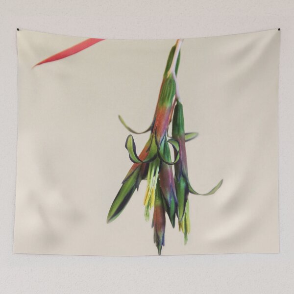 Item preview, Queen's Tears in Bloom designed and sold by heatherfriedman.