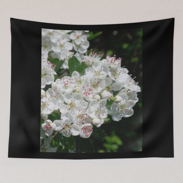 Item preview, Hawthorn June Blossoms designed and sold by VikingVisual.