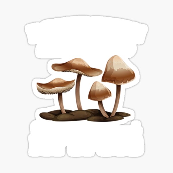 🍄Mochi Nightmare The Mushroom🍄 on X: Not sure is this actually