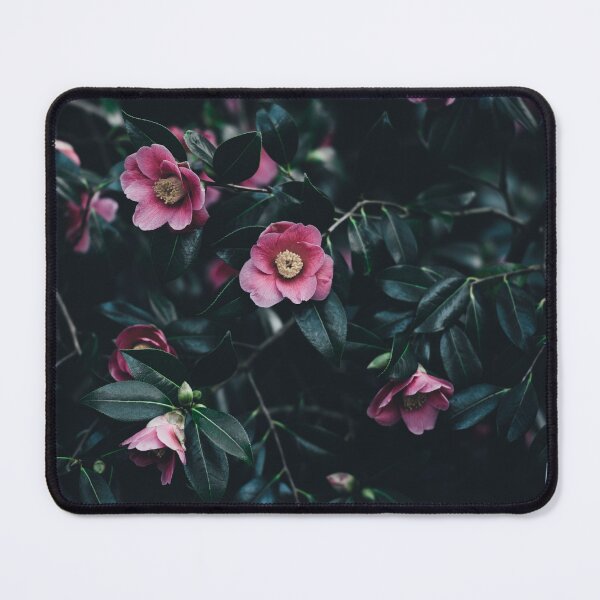 Item preview, Small pink camellia flowers among dark green leaves designed and sold by Kashear.