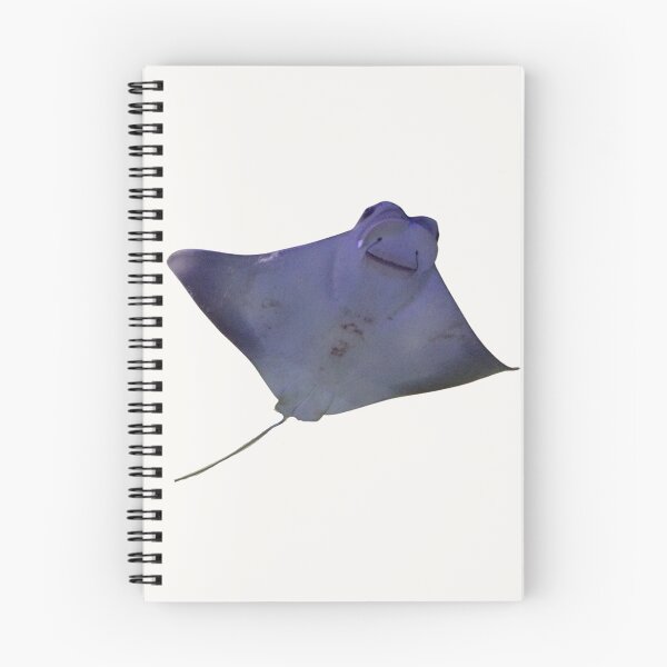 Item preview, Manta Ray designed and sold by RainbowSpinkle.