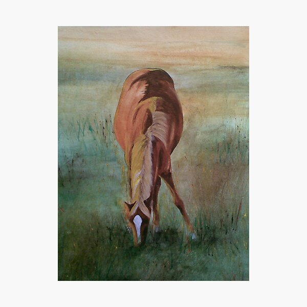 Silence Photographic Print