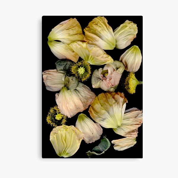 Item preview, Petals and Seed Heads designed and sold by Barbara E Wyeth.