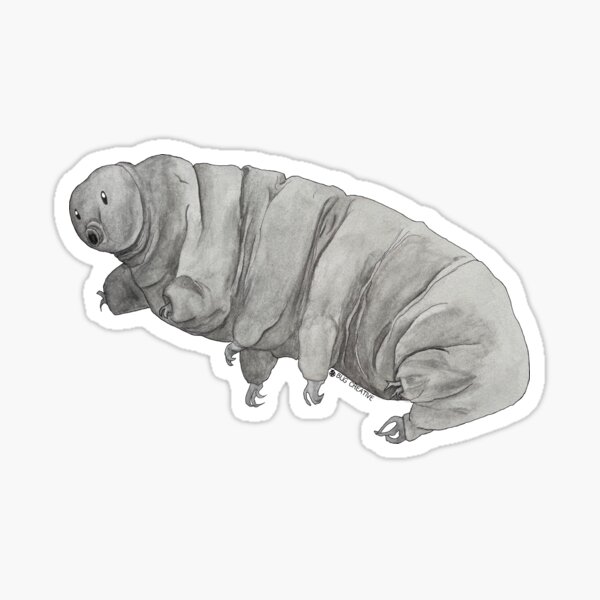 Item preview, Tardigrade | Cartoon Eyes designed and sold by BugCreative.