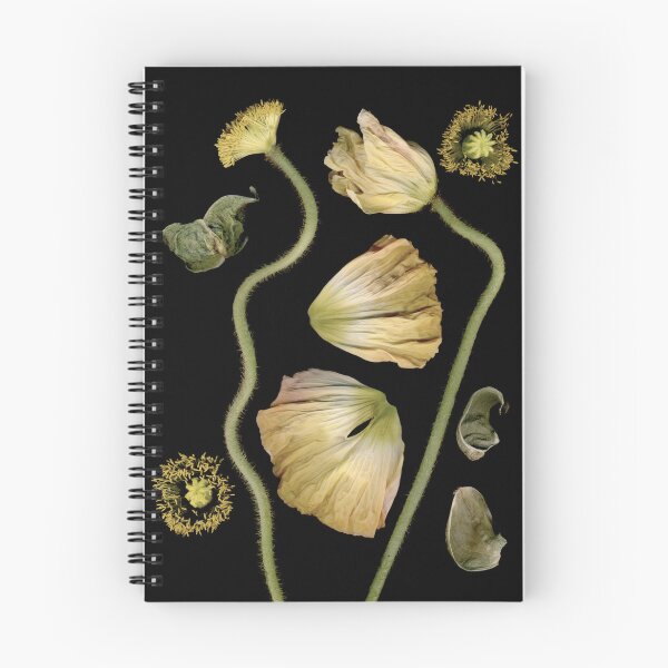 Item preview, Pale Color Poppies designed and sold by Barbara E Wyeth.