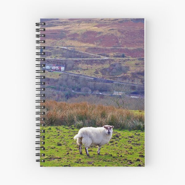 Item preview, Ewe Special designed and sold by VikingVisual.