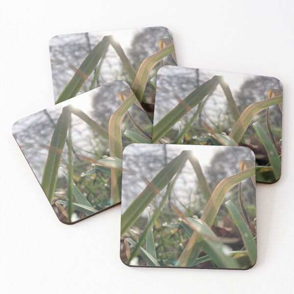 Item preview, Prospect Park Shimmering Dew designed and sold by han the creative.