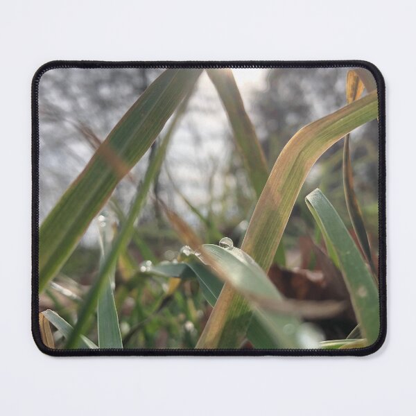 Item preview, Prospect Park Shimmering Dew designed and sold by han the creative.