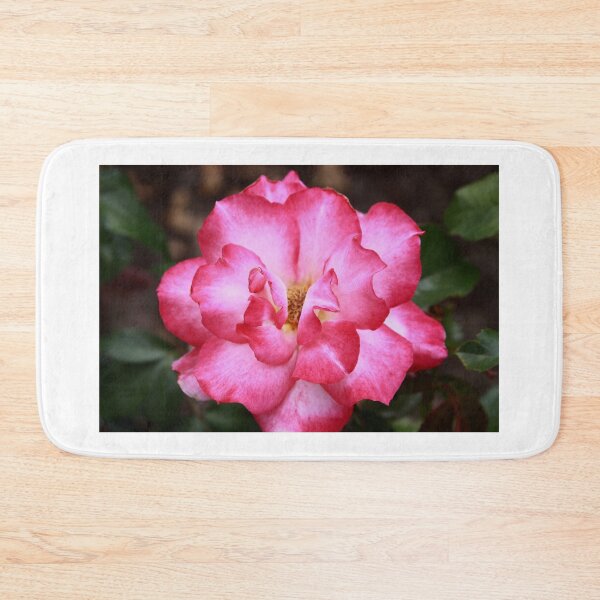 Item preview, Rainbow Sorbet Floribunda Rose designed and sold by Robert Armendariz.