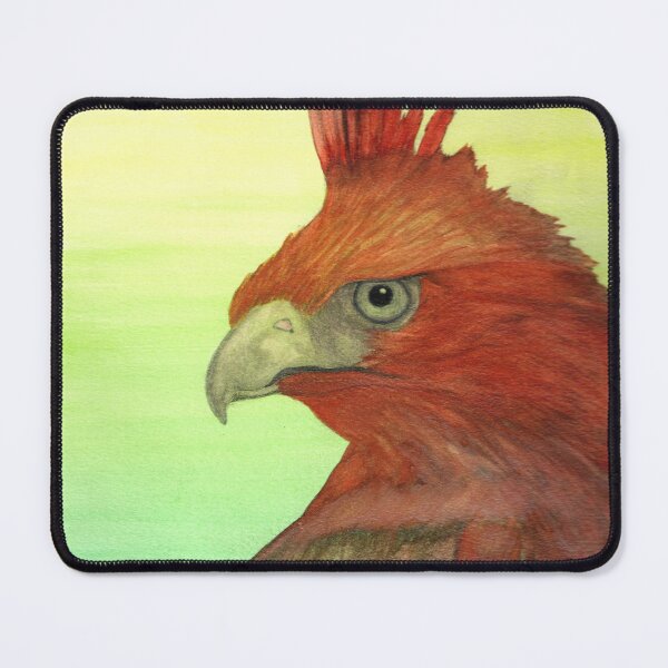 Item preview, Javan Hawk Eagle designed and sold by bjs444.