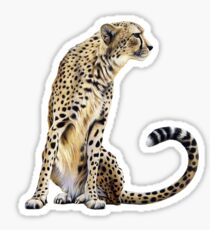 Cheetah Sticker