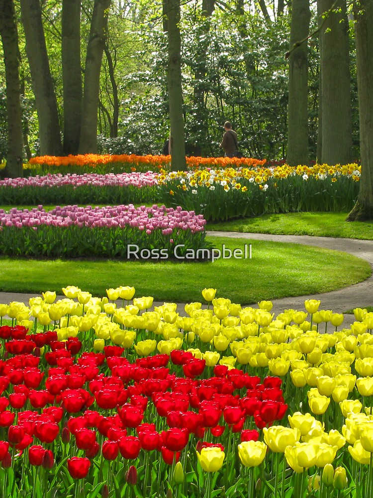 "Keukenhof Tulip Festival, Holland" Sticker for Sale by rossacampbell