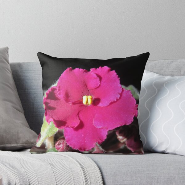 Item preview, Burgundy African Violet Flower designed and sold by FlowersAndMore.