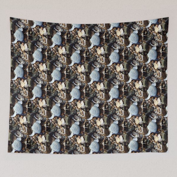 Item preview, shell designed and sold by KathleenDawson.