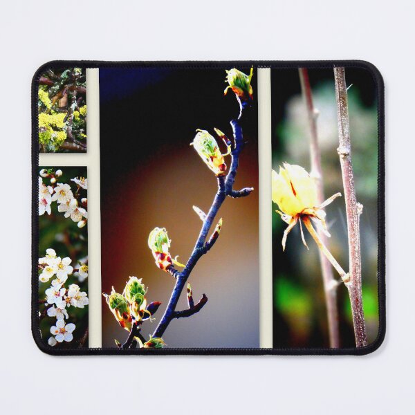 Item preview, Branches designed and sold by angel1.