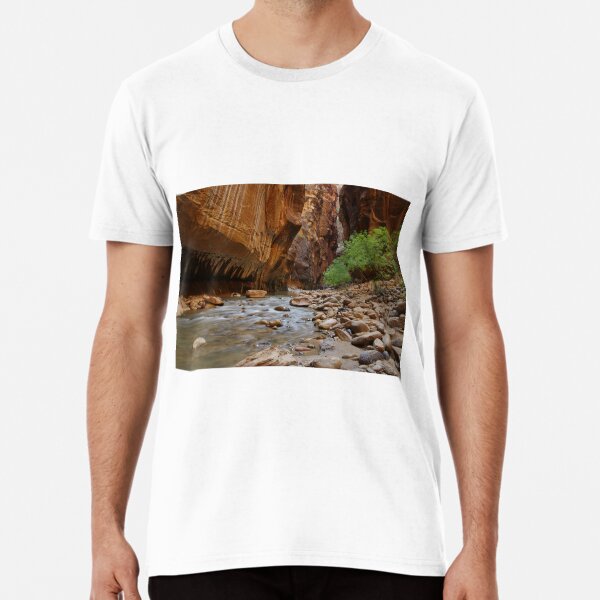 Vista previa del artículo con la obra «La vida sucede en Zion Narrows», diseñado y vendido por Imthenats Photography and Art.