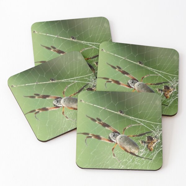 Item preview, Golden Orb Weaver - Photo by Rachel Clark designed and sold by RachelClarkSwag.