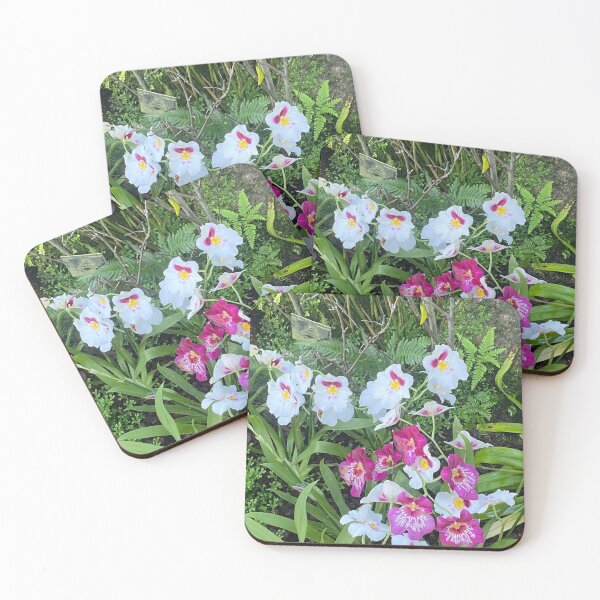 Item preview, Miltonia designed and sold by Yusein  Ismail.