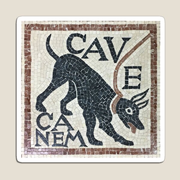 Roman CAVE CANEM Mosaic (Black Lab) Pet Mat for Sale by Goosekaid