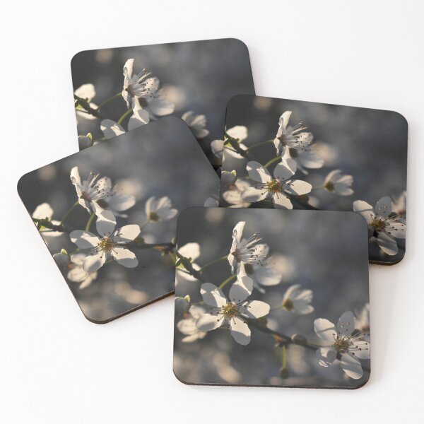 Item preview, White blossom in the sunlight  designed and sold by mariya-ivanova.
