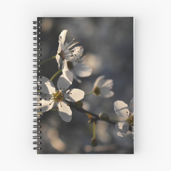 Item preview, White blossom in the sunlight  designed and sold by mariya-ivanova.