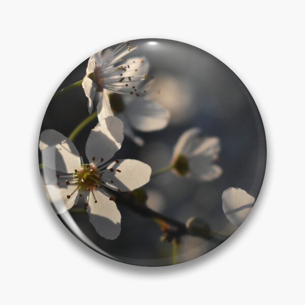 Item preview, White blossom in the sunlight  designed and sold by mariya-ivanova.