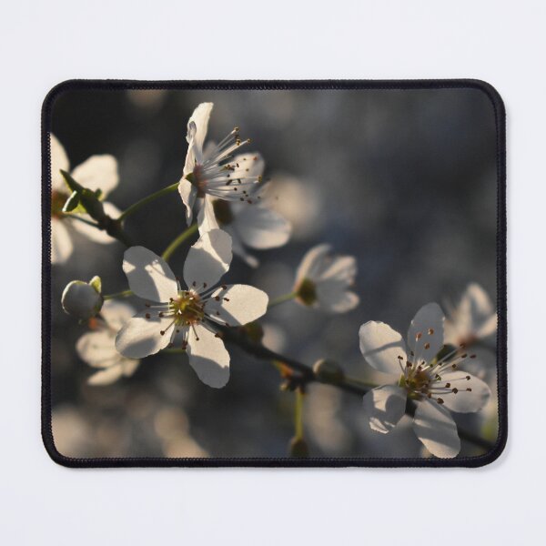 Item preview, White blossom in the sunlight  designed and sold by mariya-ivanova.