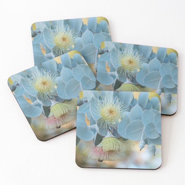 Item preview, Pastel Rhodantha designed and sold by SallyB.Photography.