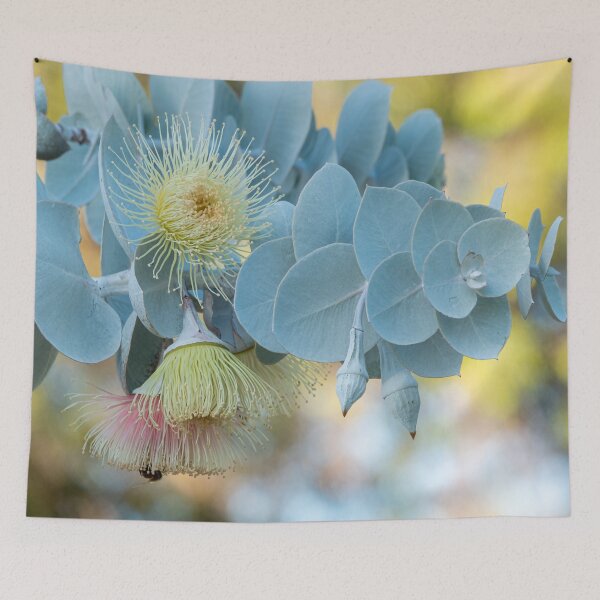 Item preview, Pastel Rhodantha designed and sold by SallyB.Photography.