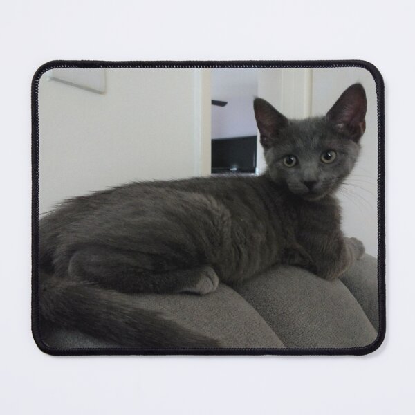 Item preview, #270 |☼| What's Behind Mimi? (Cats) designed and sold by Naean H.F. (Nez Man).