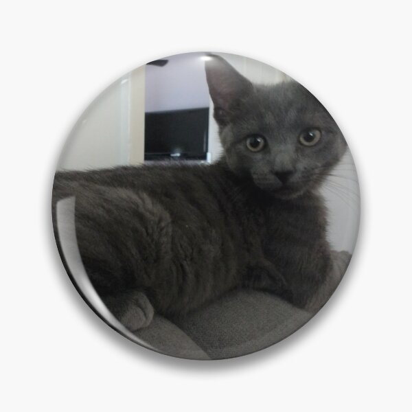 Item preview, #270 |☼| What's Behind Mimi? (Cats) designed and sold by Naean H.F. (Nez Man).