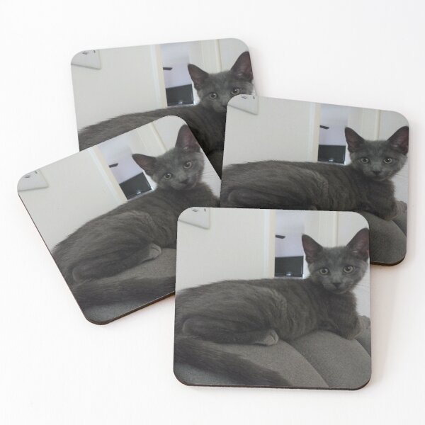 Item preview, #270 |☼| What's Behind Mimi? (Cats) designed and sold by Naean H.F. (Nez Man).