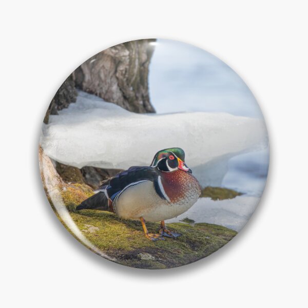 Item preview, Wood Duck down by the River designed and sold by James Cumming.