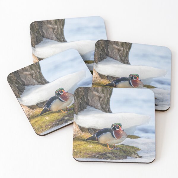 Item preview, Wood Duck down by the River designed and sold by James Cumming.