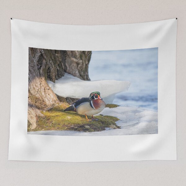 Item preview, Wood Duck down by the River designed and sold by James Cumming.