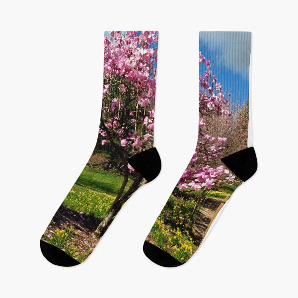 Item preview, Magnolia Tree Batsford Arboretum Cotswolds UK designed and sold by AndyEvansPhotos.