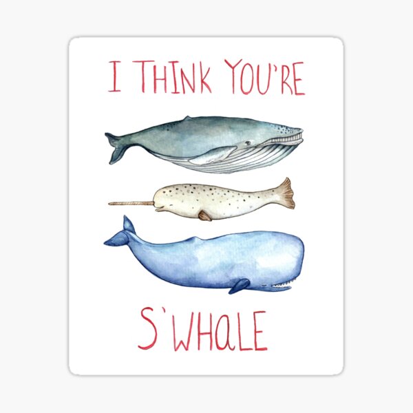 Eres S'whale Pegatina