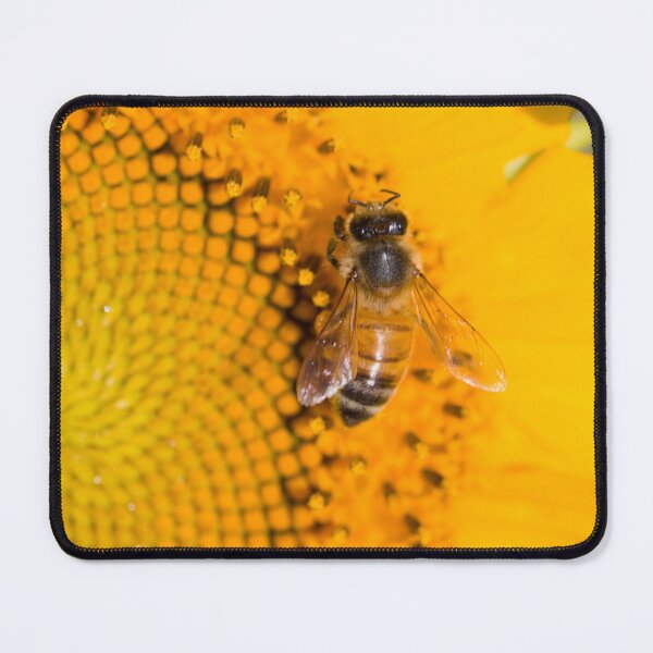 Item preview, Honey Bee 3 designed and sold by Jacquiamber.