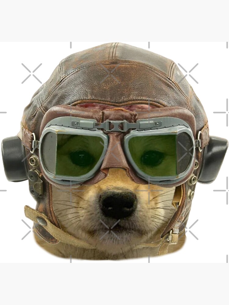 Dog in WWII RAF Flying Helmet