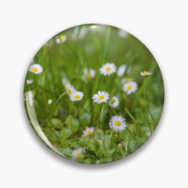 Item preview, Daisies designed and sold by Jacquiamber.
