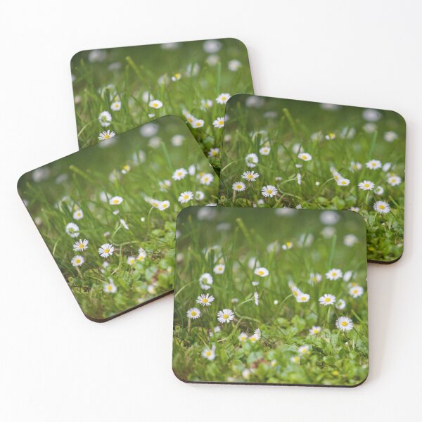 Item preview, Daisies designed and sold by Jacquiamber.