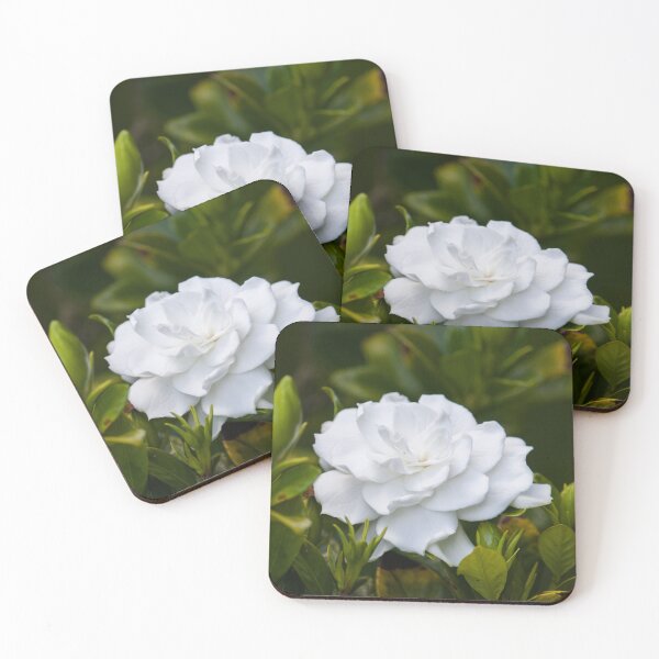 Item preview, Gardenia 1 designed and sold by Jacquiamber.