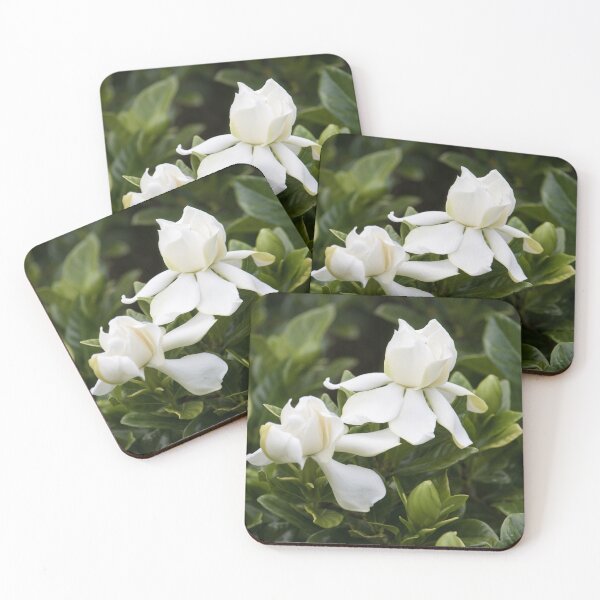 Item preview, Gardenia 2 designed and sold by Jacquiamber.