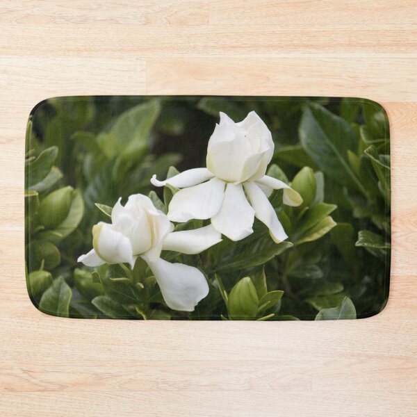 Item preview, Gardenia 2 designed and sold by Jacquiamber.