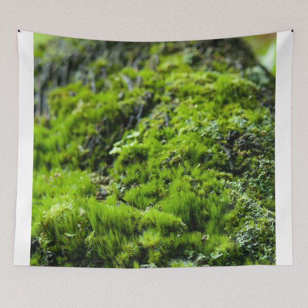 Item preview, Moss designed and sold by Jacquiamber.