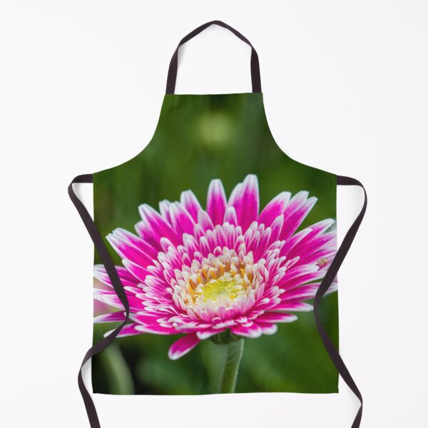 Item preview, Gerbera designed and sold by Jacquiamber.
