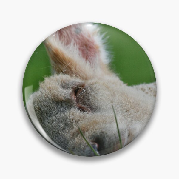 Item preview, Spring lamb designed and sold by Jellycandy.